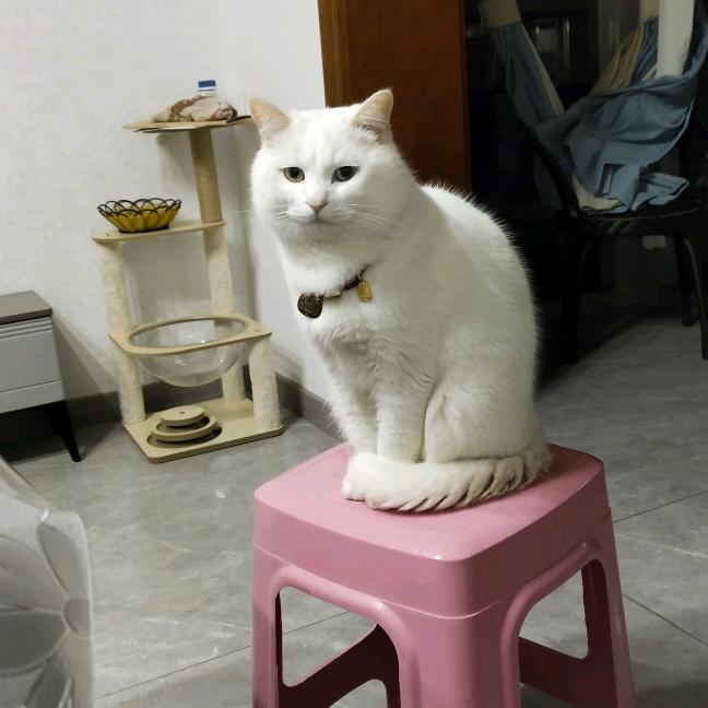 坏男人