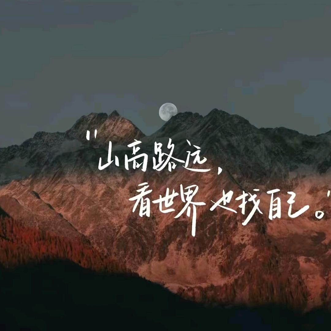 原来是赵鑫呀