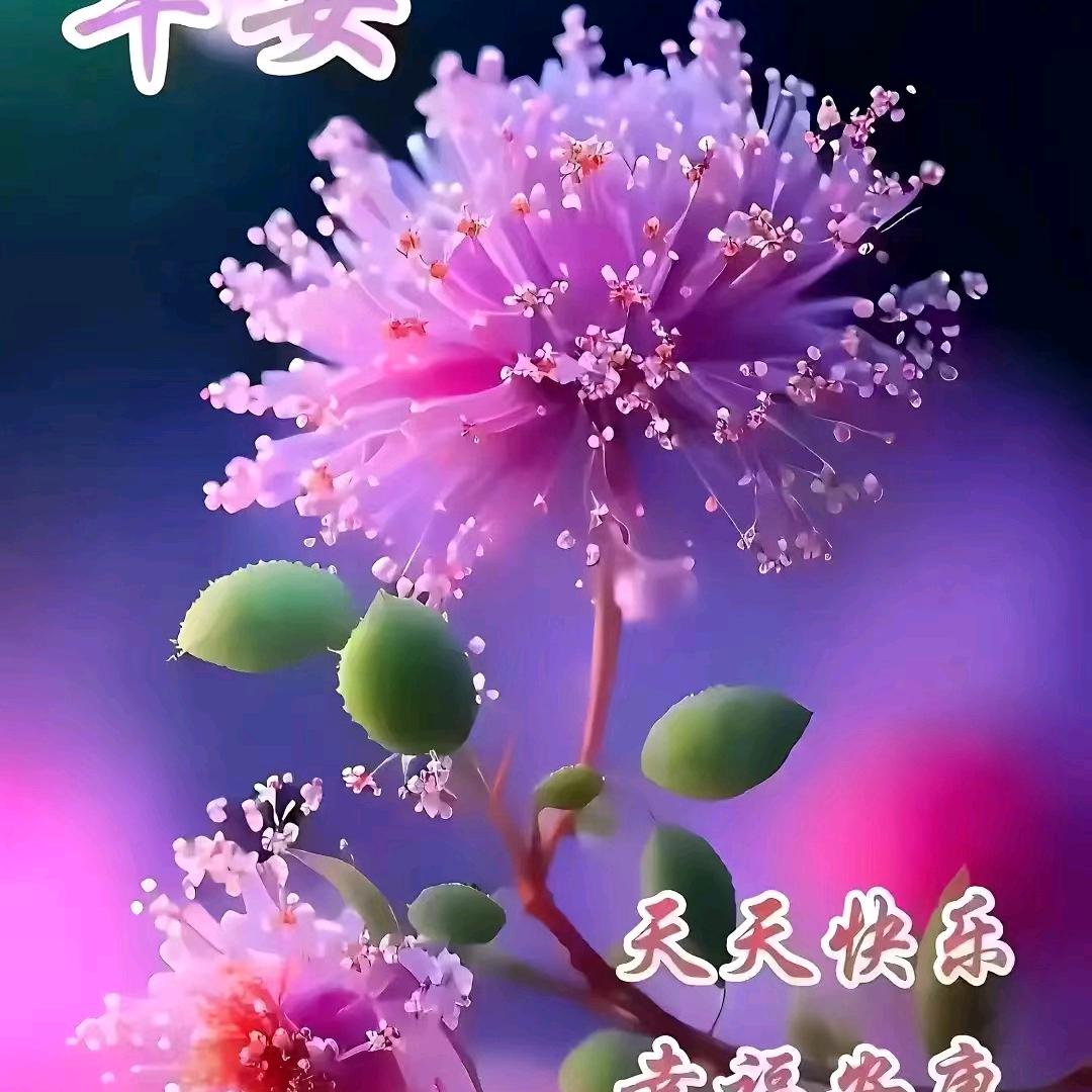 春暖花开，拒私聊，