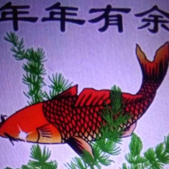 年年有鱼Liy