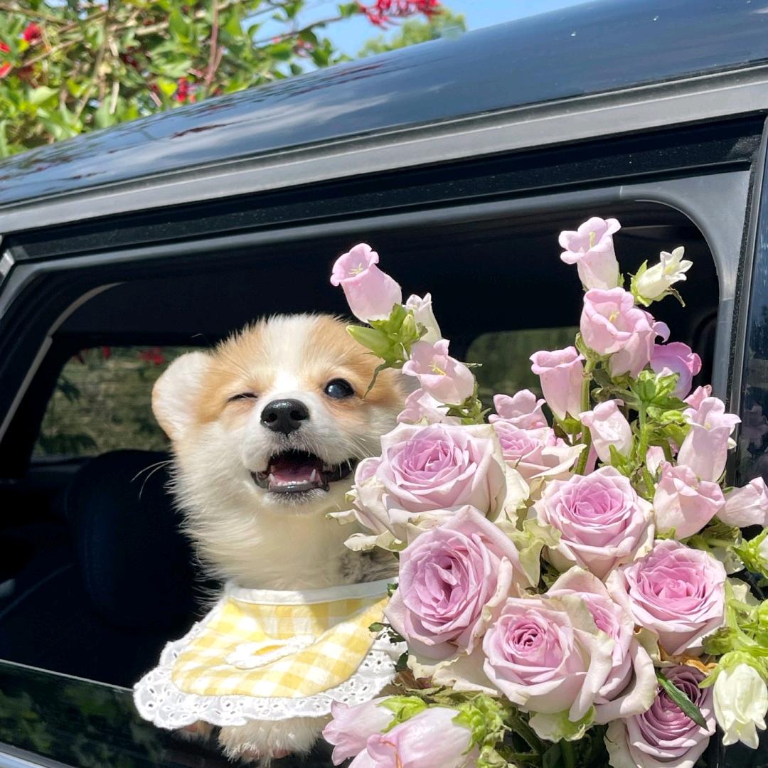 总有反派想抢我师傅