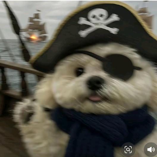 天天打高尔夫🏌🏻️‍♂️