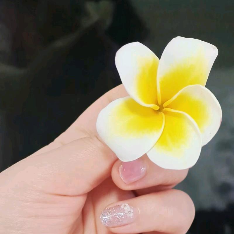 洋洋🌸