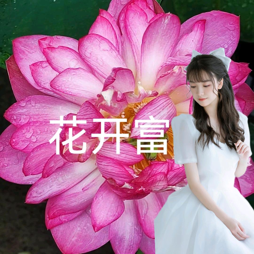 花开富贵饼