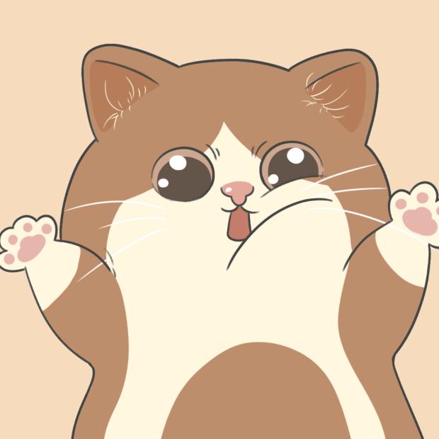 小hi