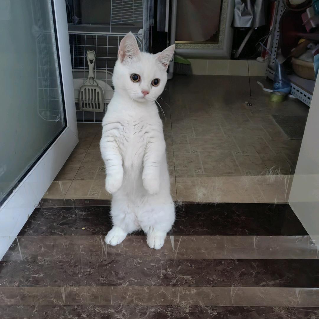 略略略