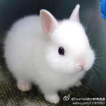 ღ᭄好運ꫛ加滿💞