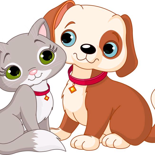 运城宠物圈～找猫寻狗