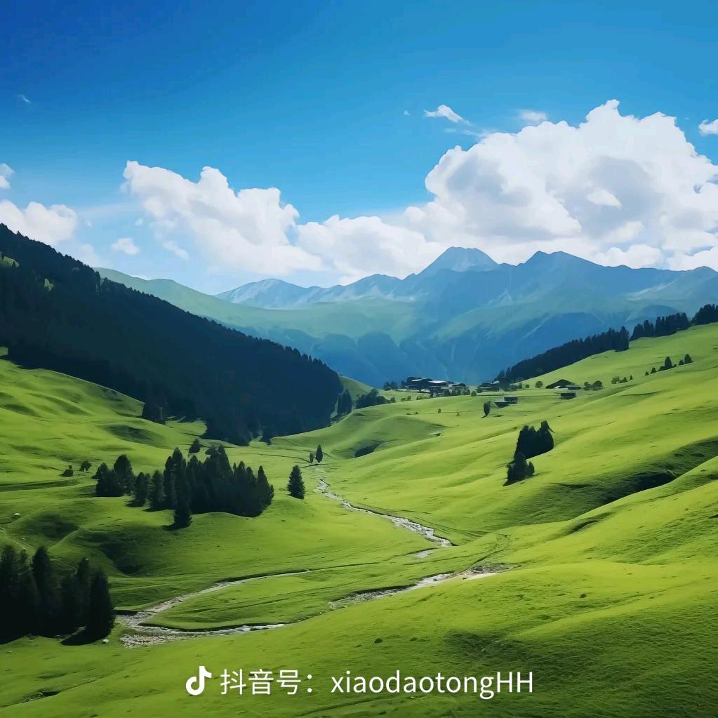 懂老师
