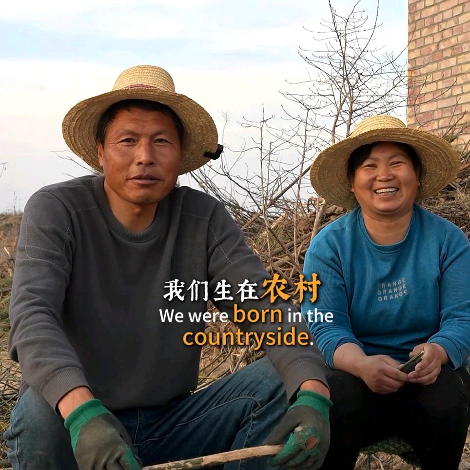 西北粮食夫妇