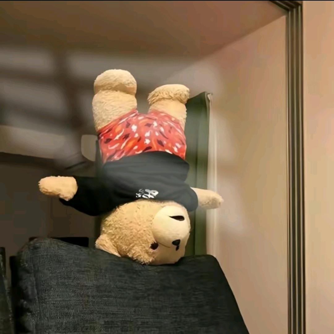 (✧∇✧)