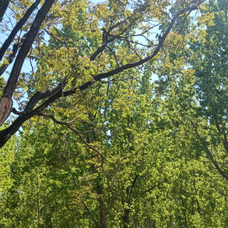 辉鑫工厂的头像