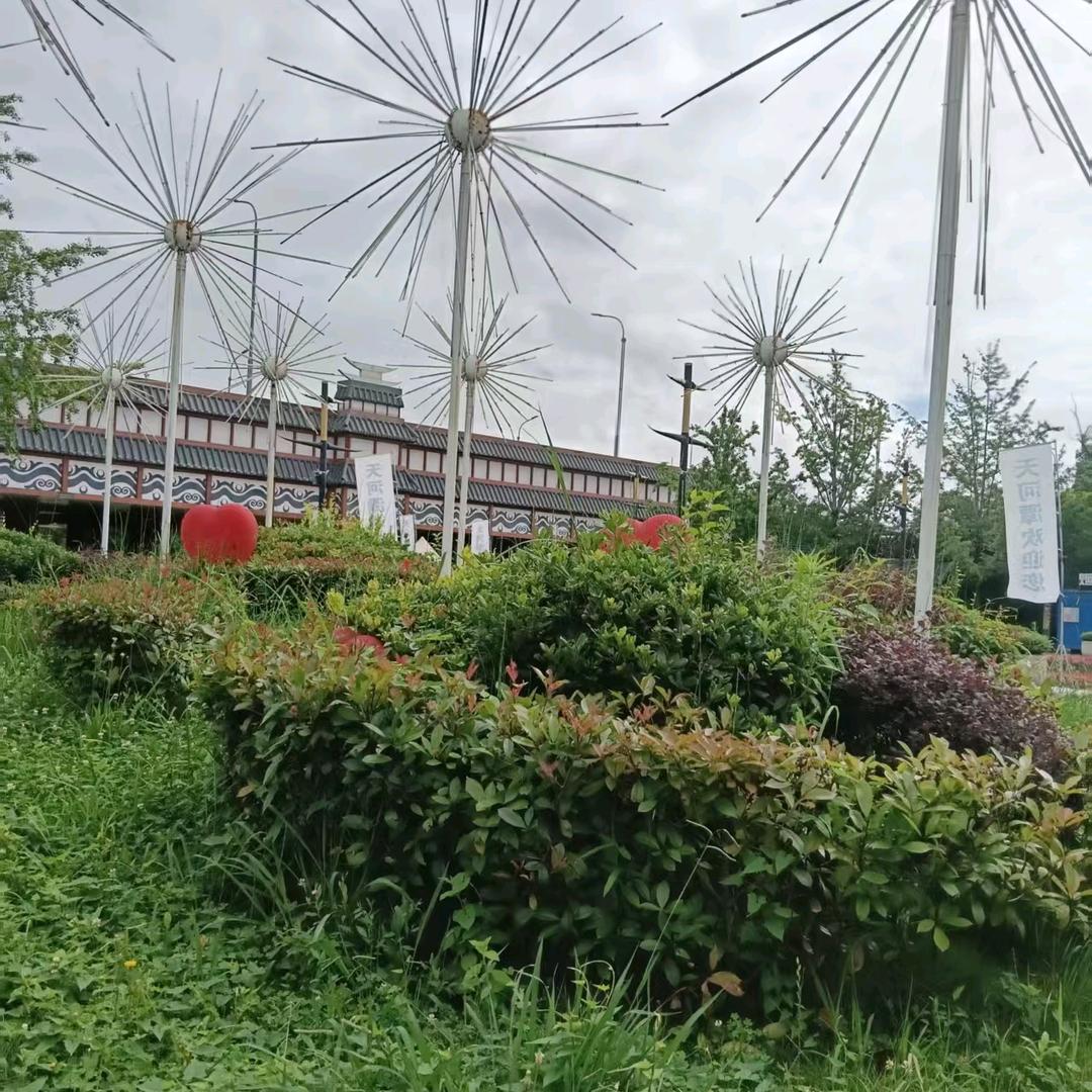 称心如意