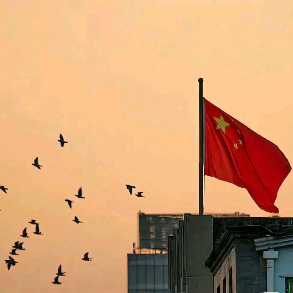 旧影、粤粤