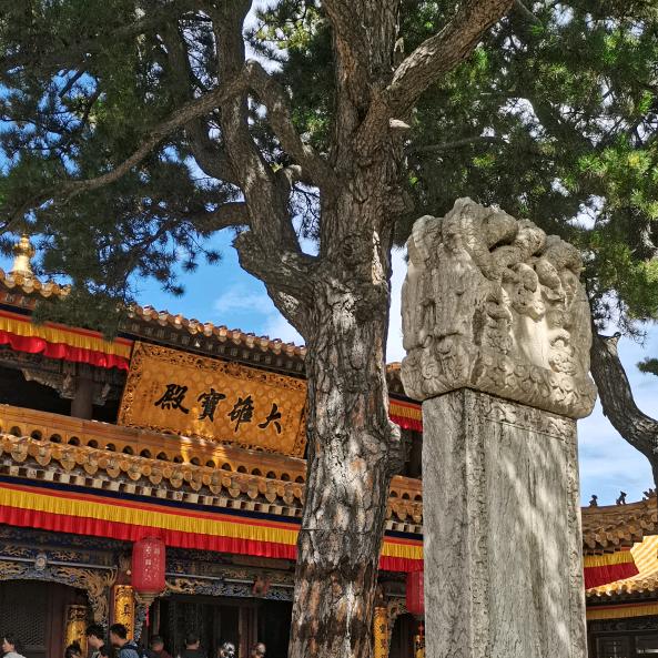 佰博.配送🇨🇳