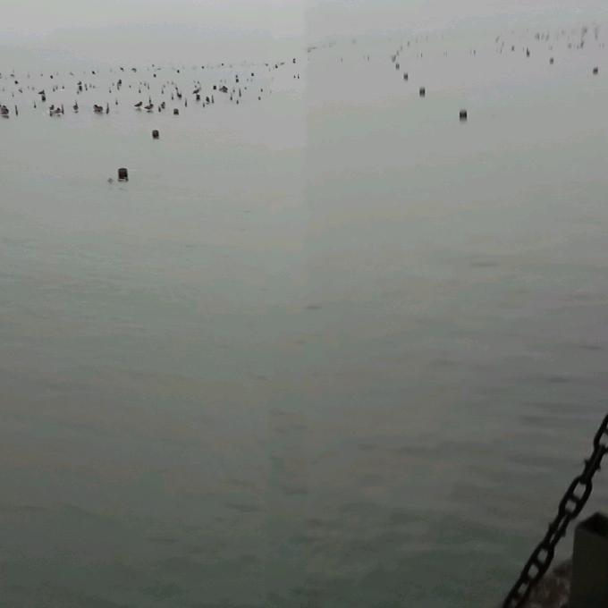 প꯭ᩚ༅日进💰窦金ོ࿐