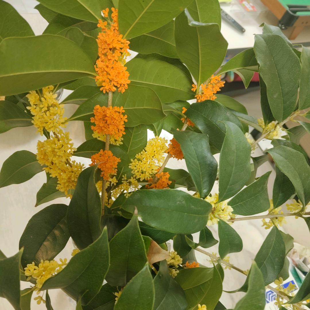 家住北大府😄😄