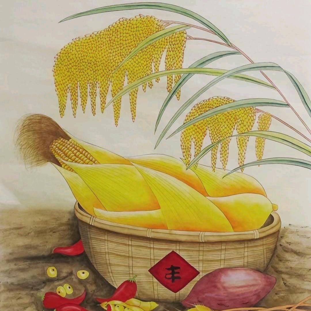 三善缘