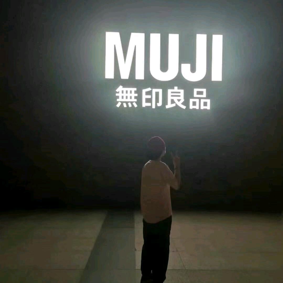 一只昂昂怪