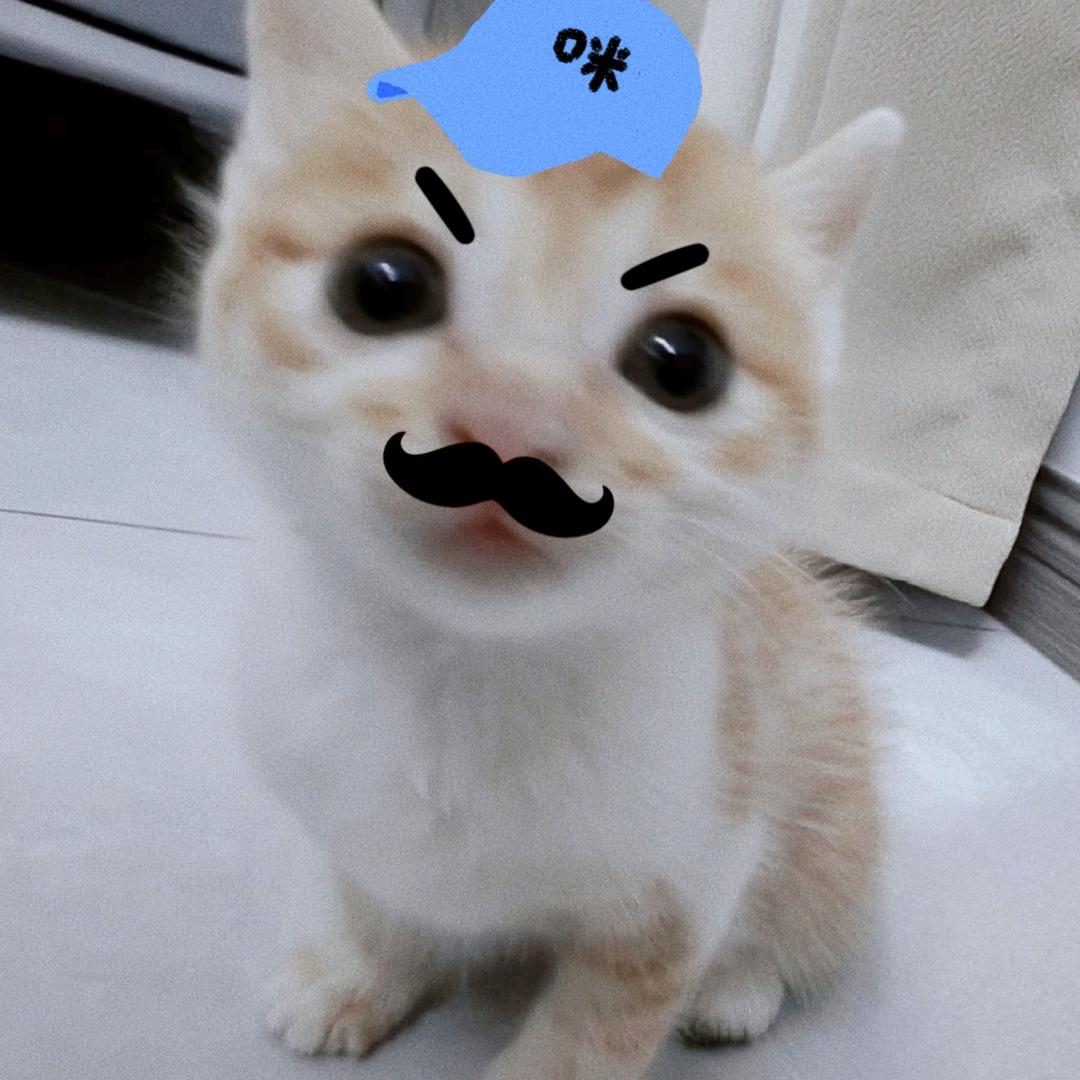 超级无敌暴王龙（三高决战版）