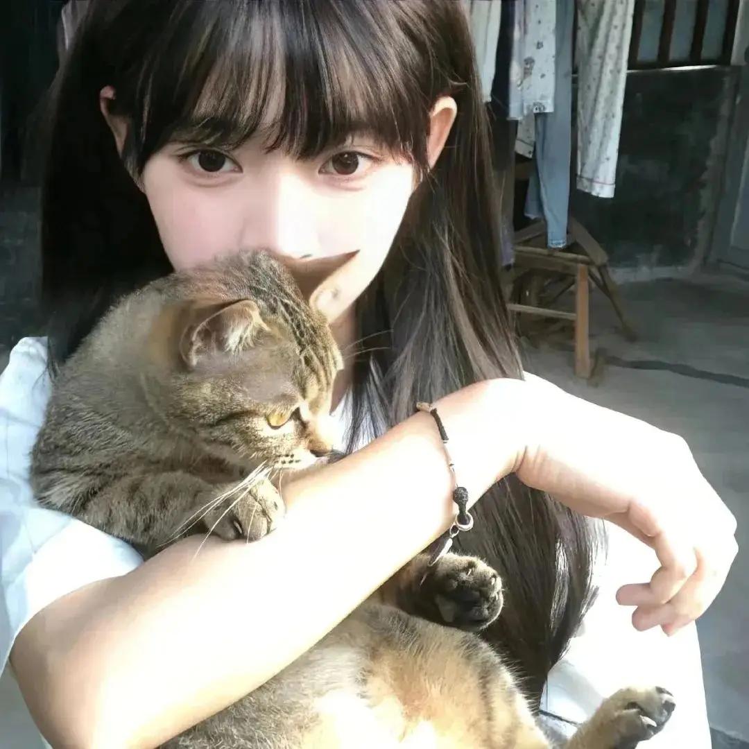 林深時見鹿