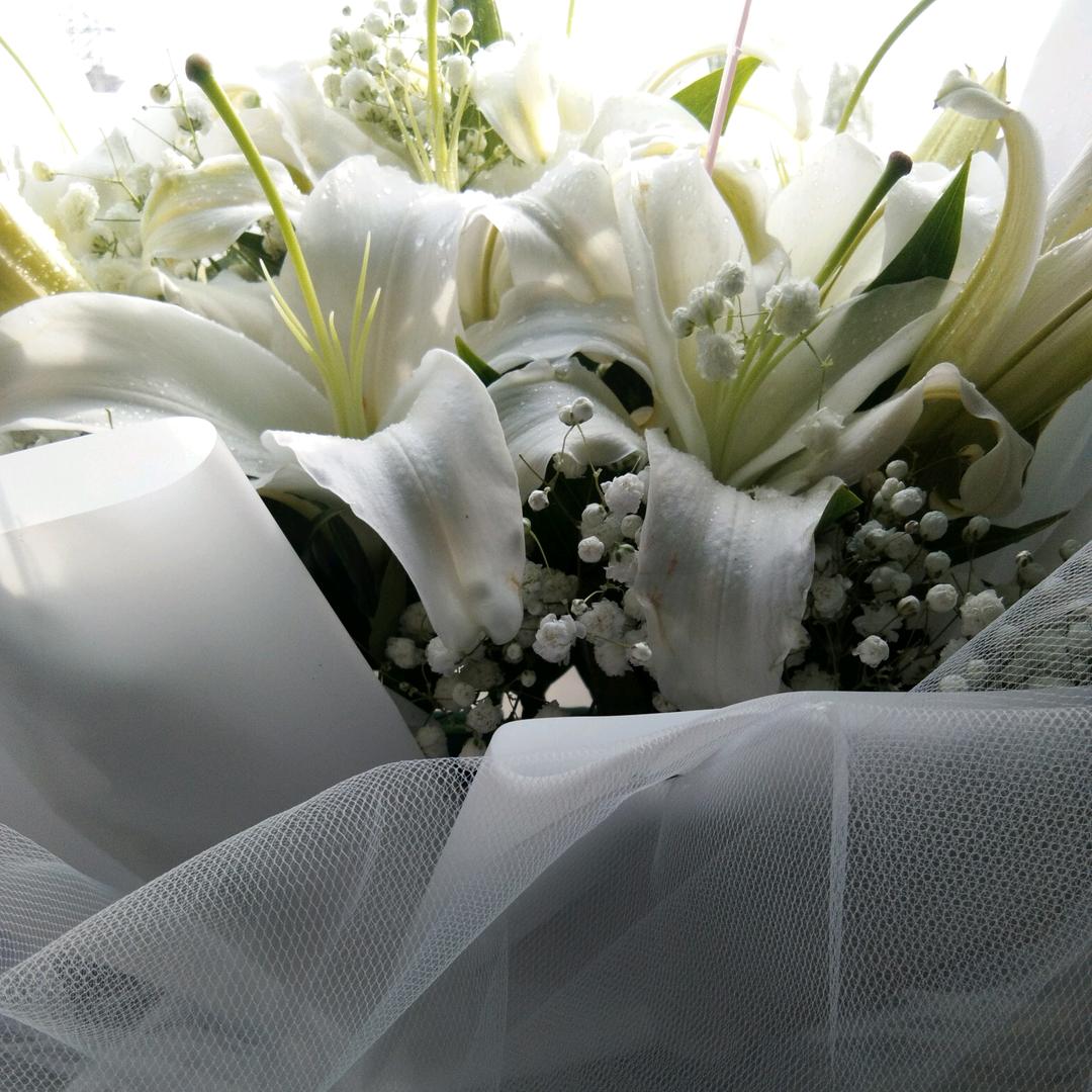 扛起扫把扫天下