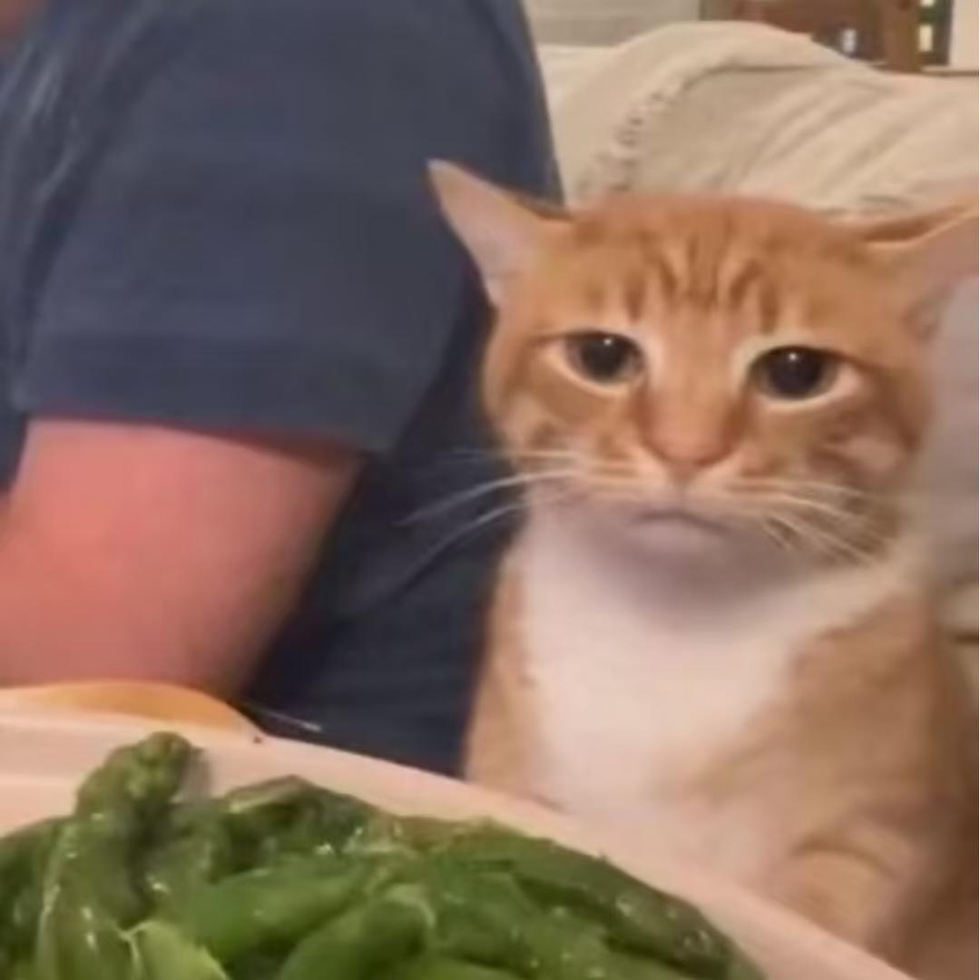 迪墨
