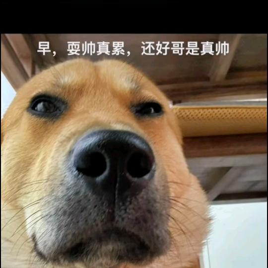 李玉冬特色商品市集