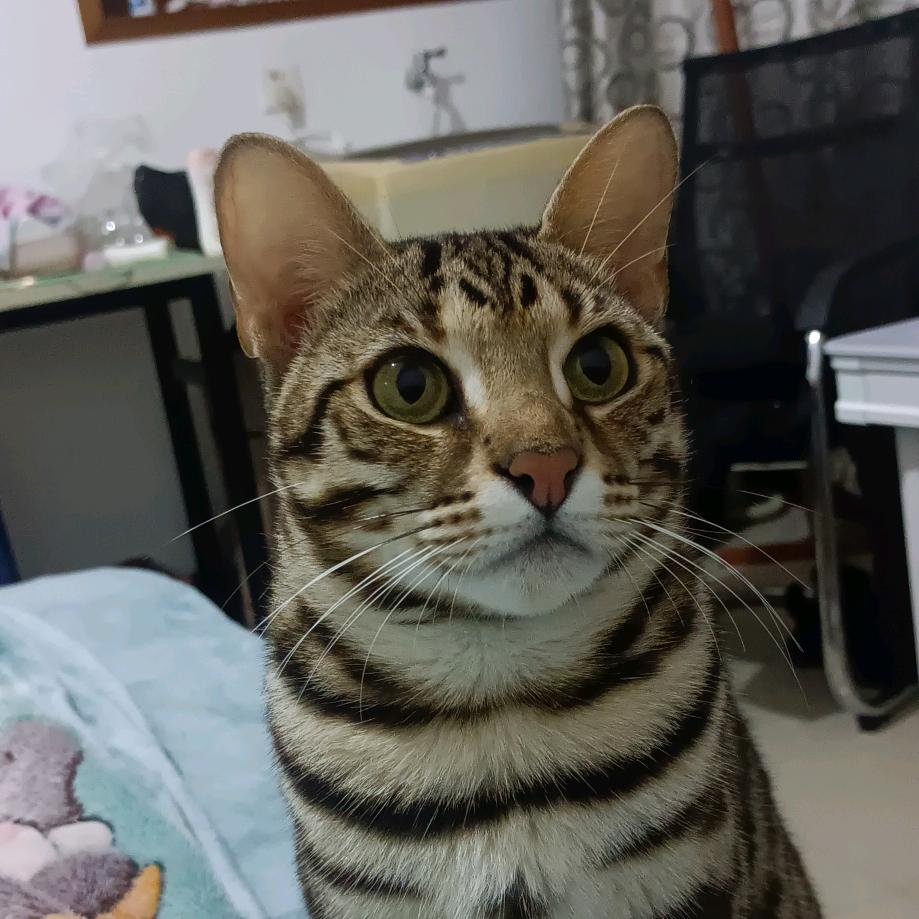 Nick