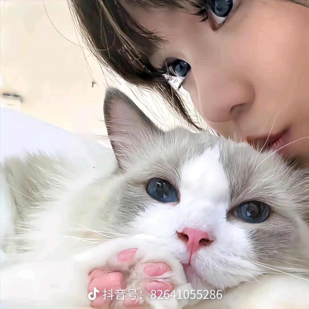 终•会唱rap的•虫