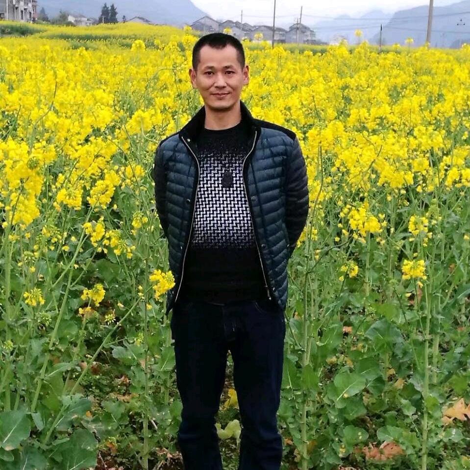 洪三好物