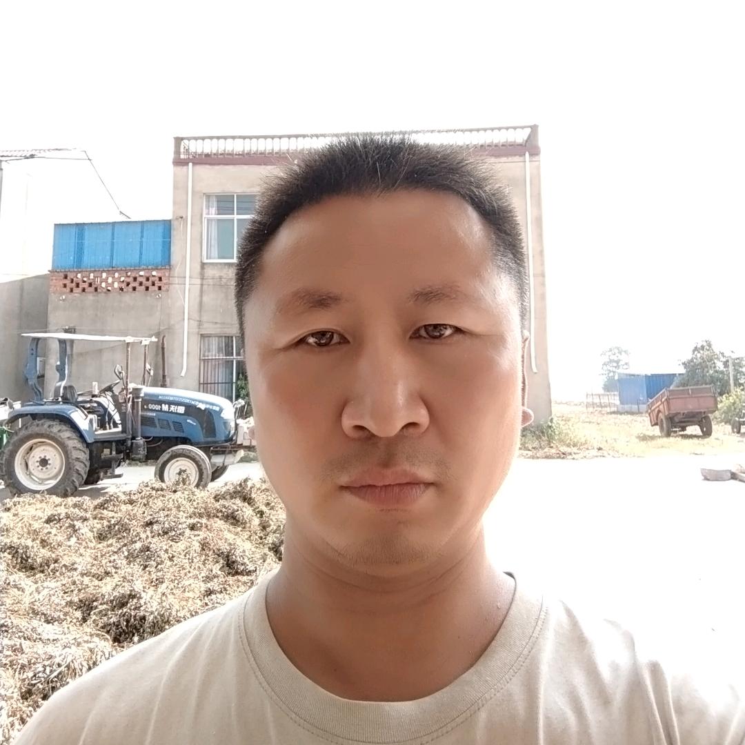 啥时？飞黄腾达