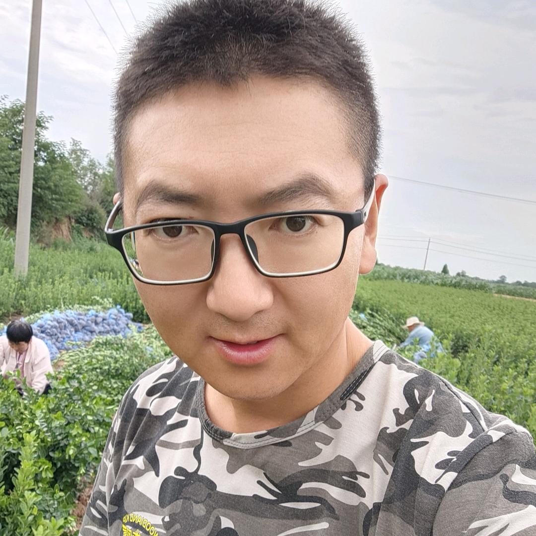 运城市大叶黄杨基地李锐