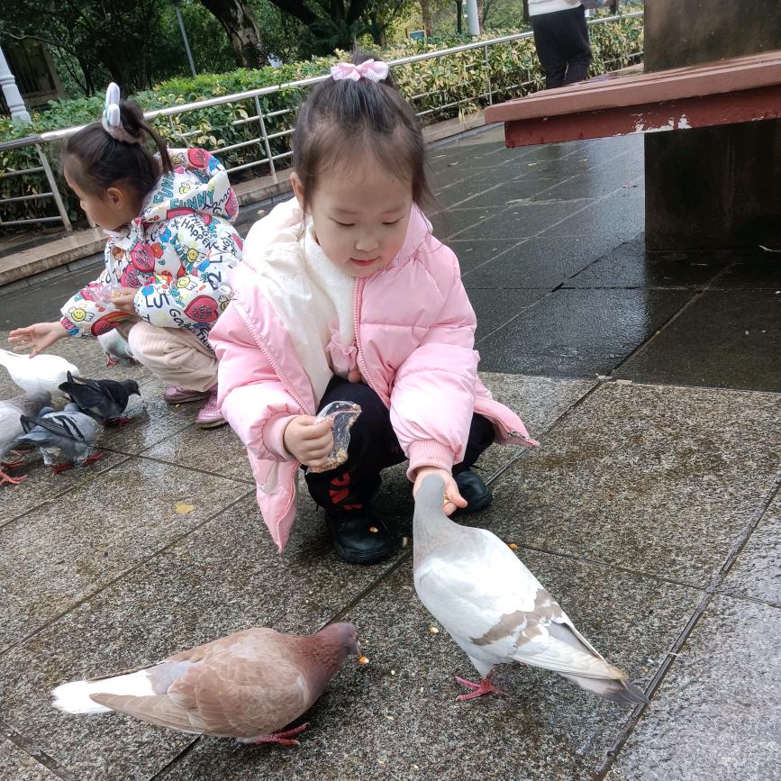 杨杨得亿😘一王情深