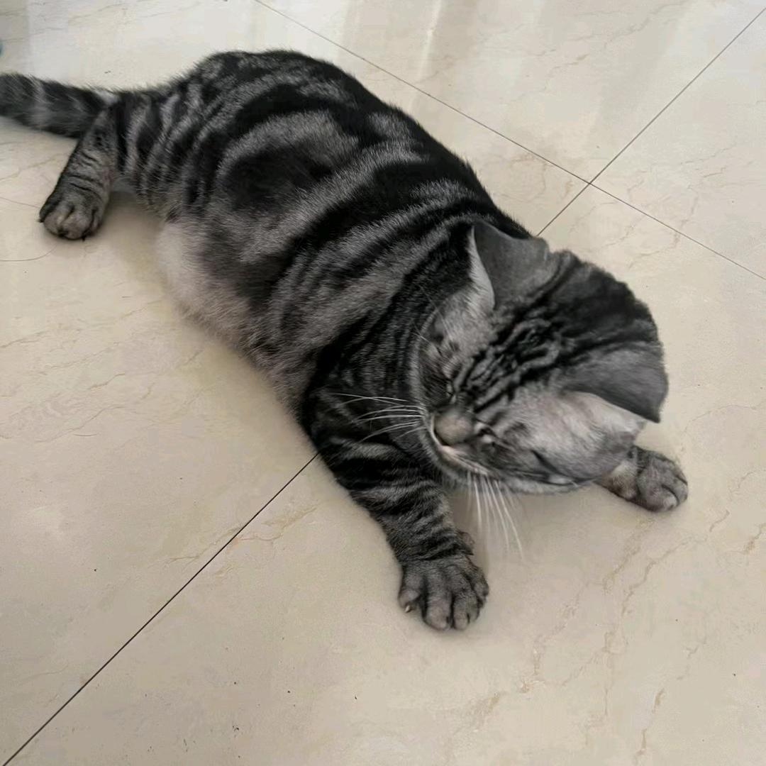 暖心的傻丫头