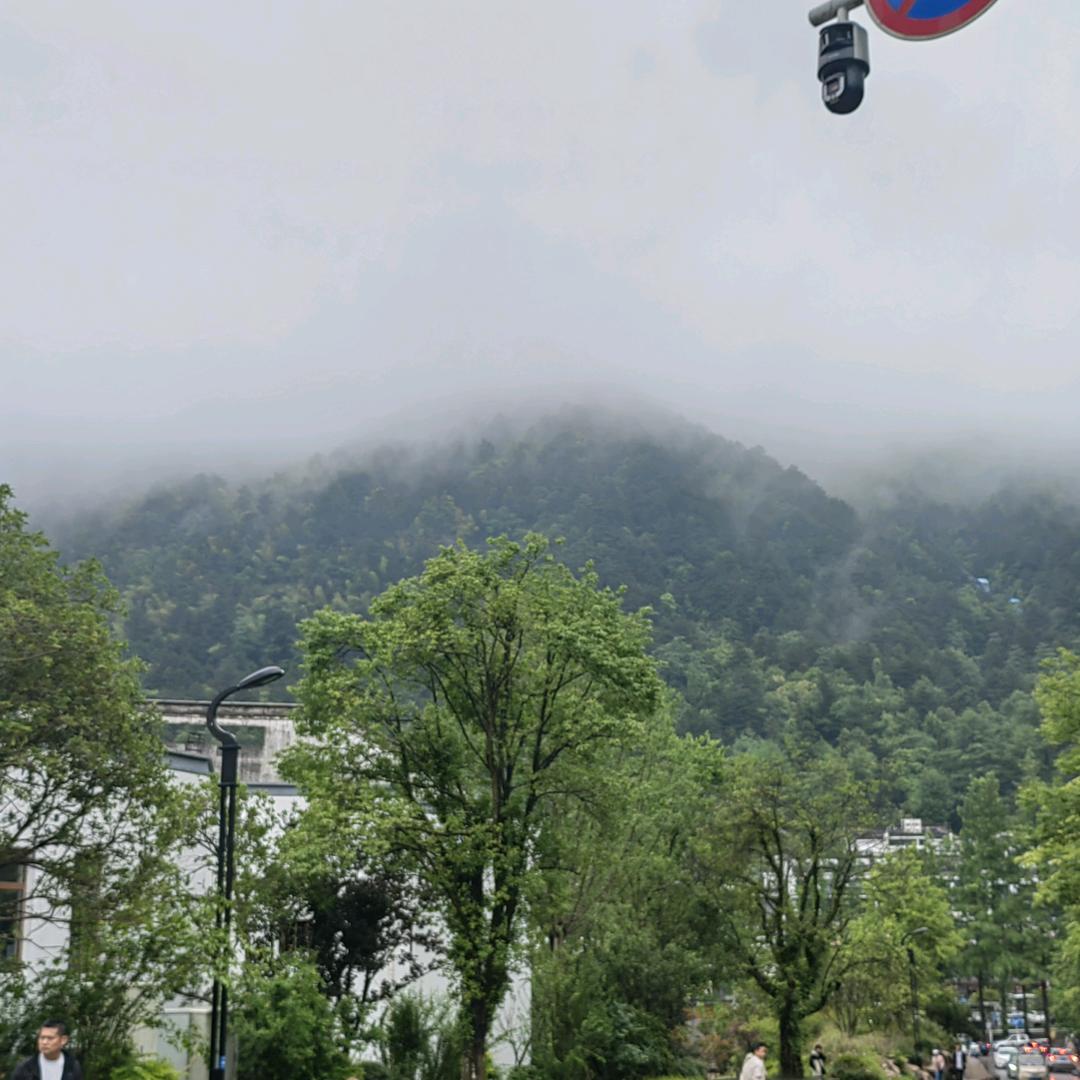 刘慧慧的家乡特产
