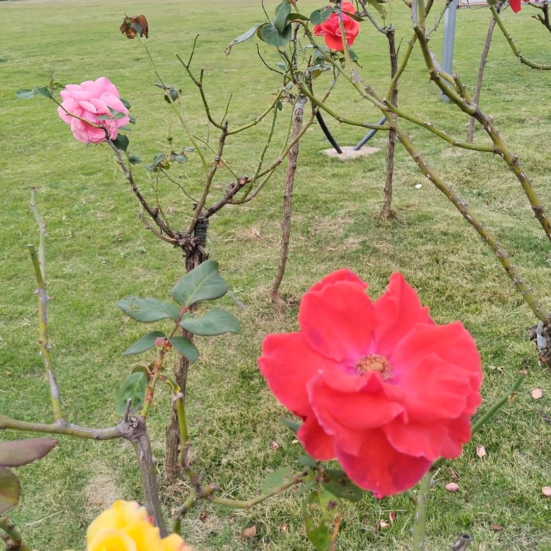 八千里路云和月