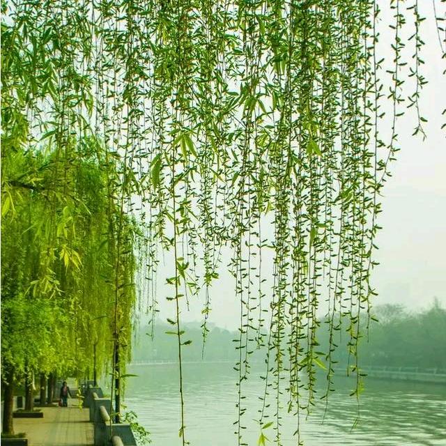 启程财源滚滚！