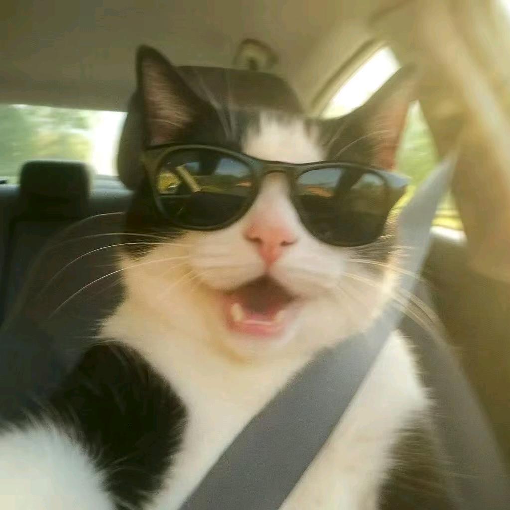 满山猴子我腚最红