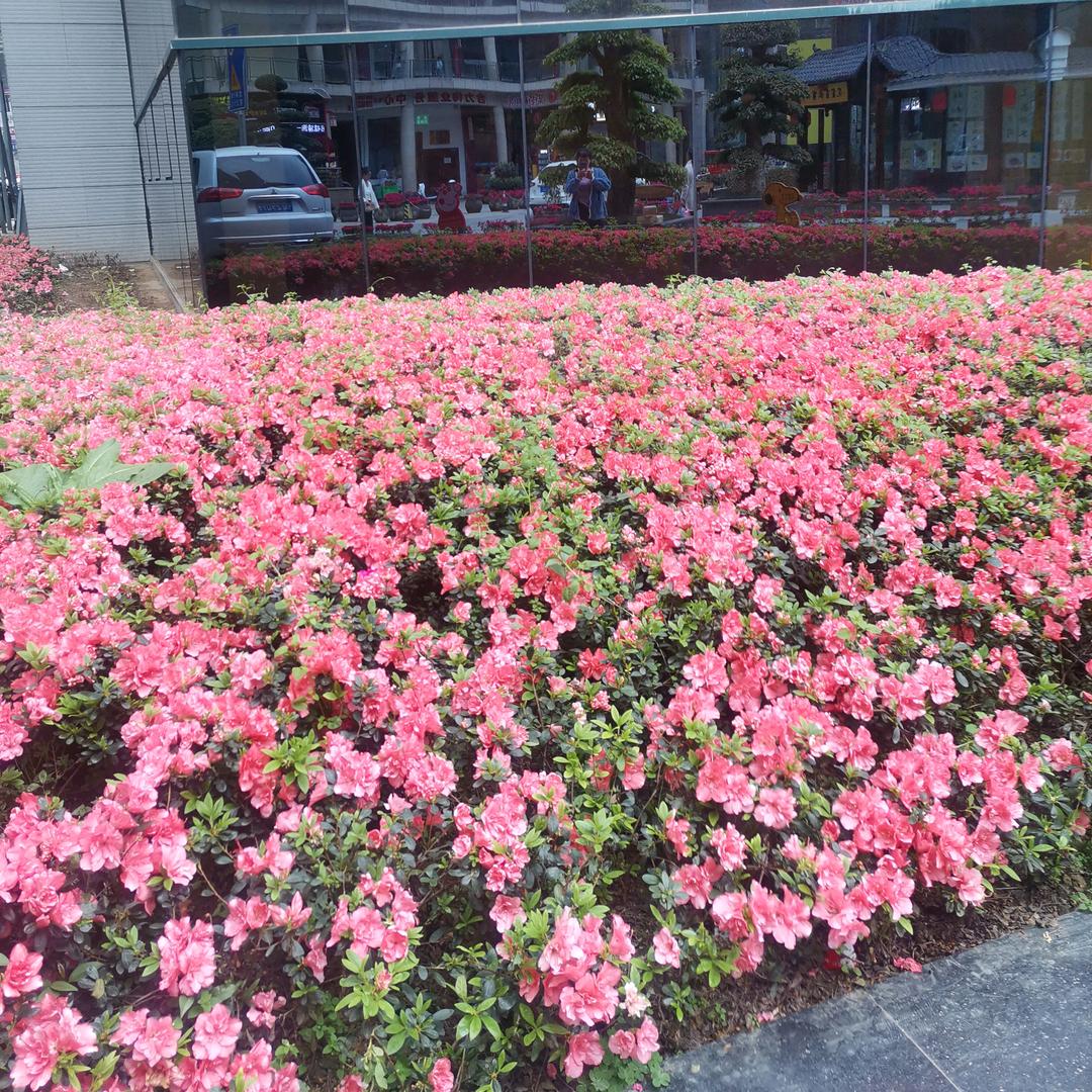 点到为止.