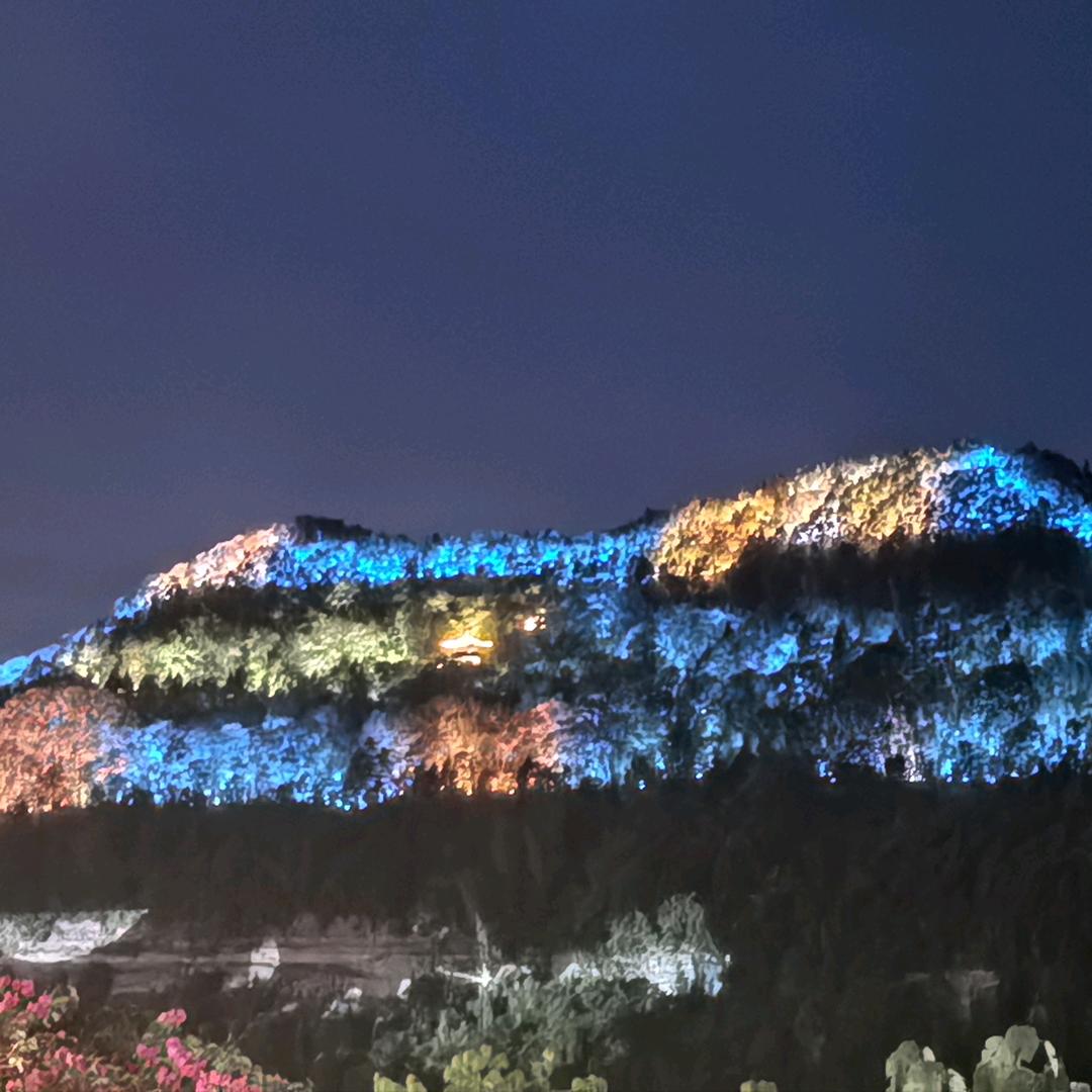 众生皆苦，唯有自渡