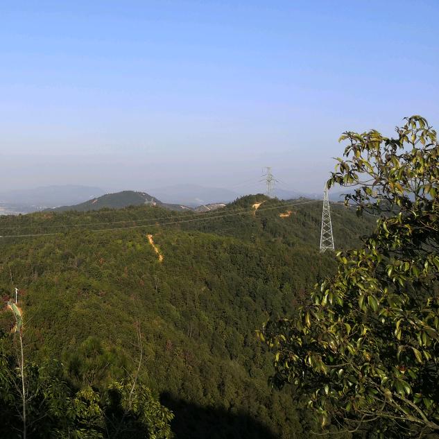 青山万里