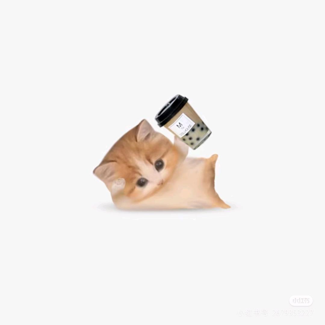 瑶瑶兔