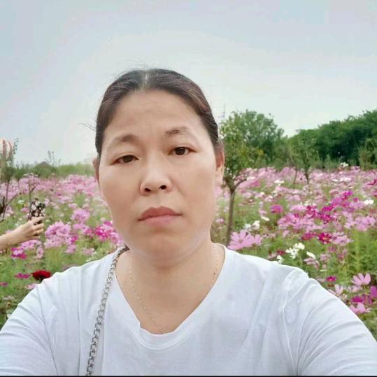 阳光姐2(晚上7：20)