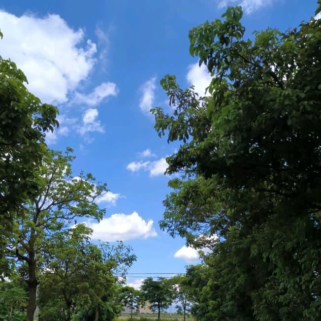 不想睡觉的熊猫