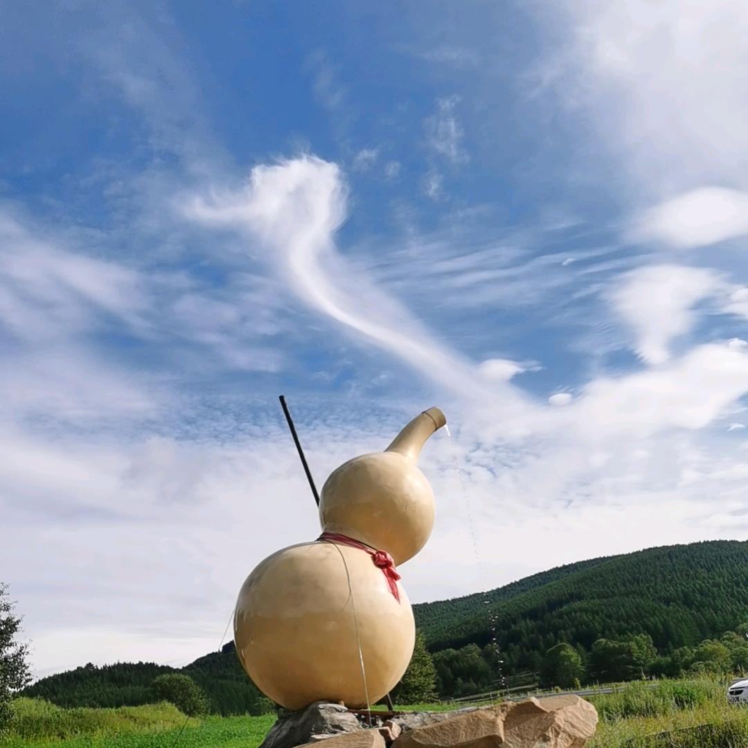 福星高赵