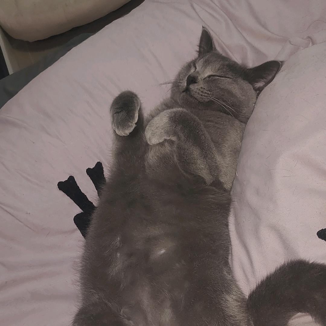 石。