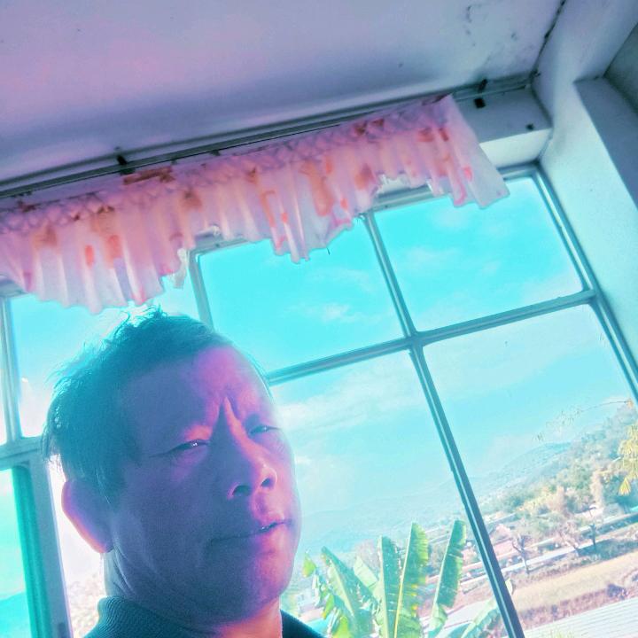 封心锁爱