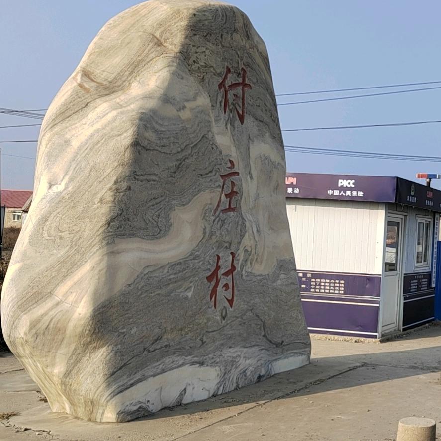 付庄村支书 鹏飞
