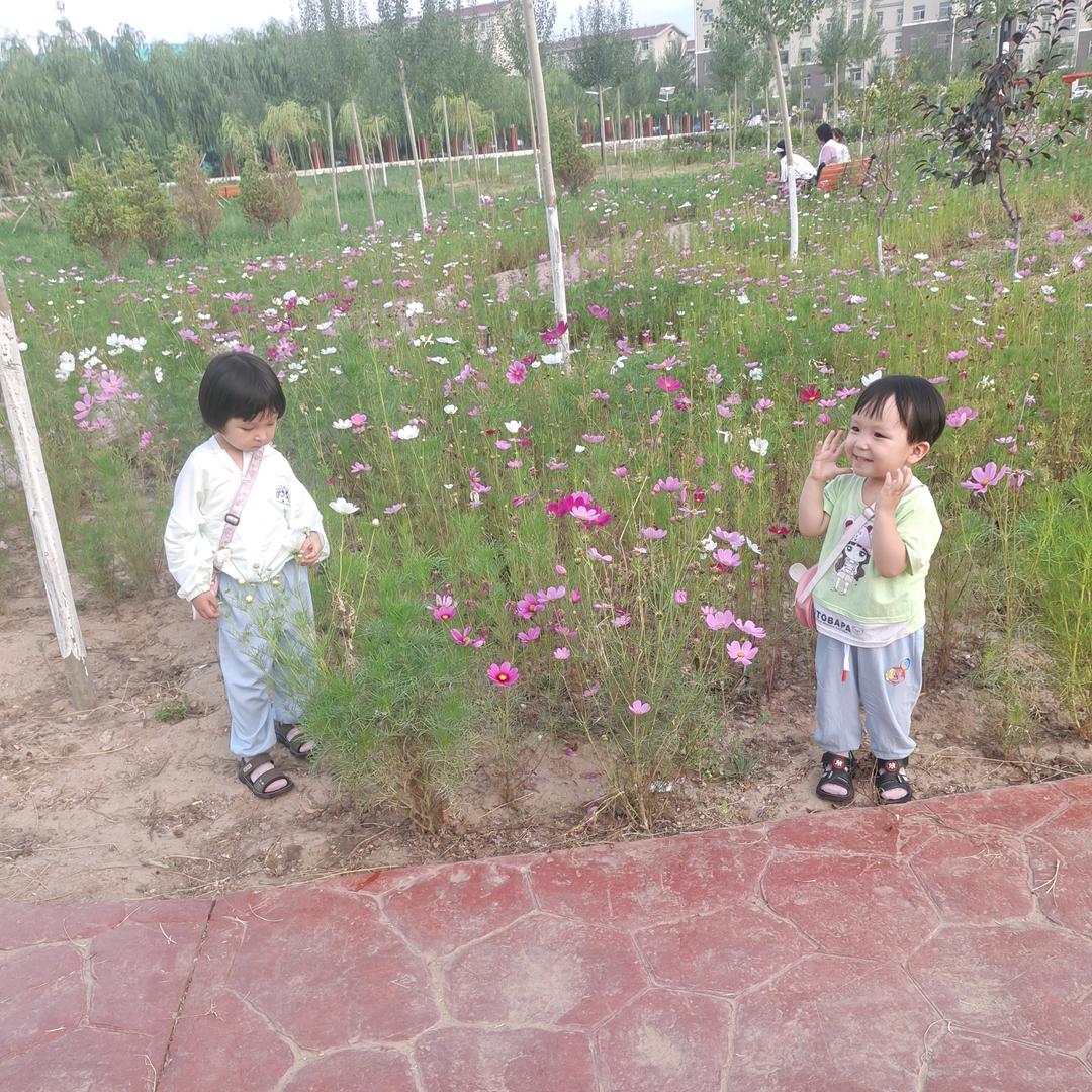 小🌺
